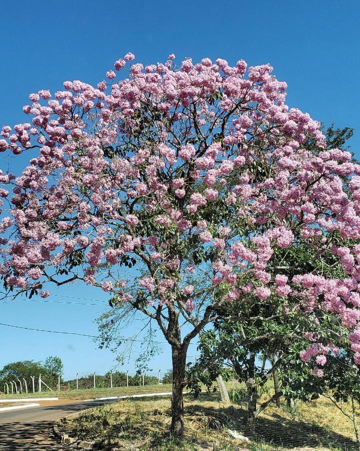 Pousada Das Orquideas Chapada dos Guimarães المظهر الخارجي الصورة