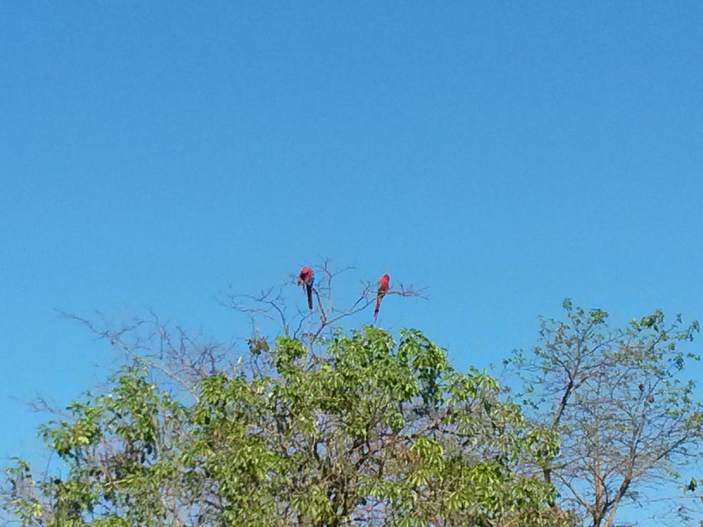 Pousada Das Orquideas Chapada dos Guimarães المظهر الخارجي الصورة